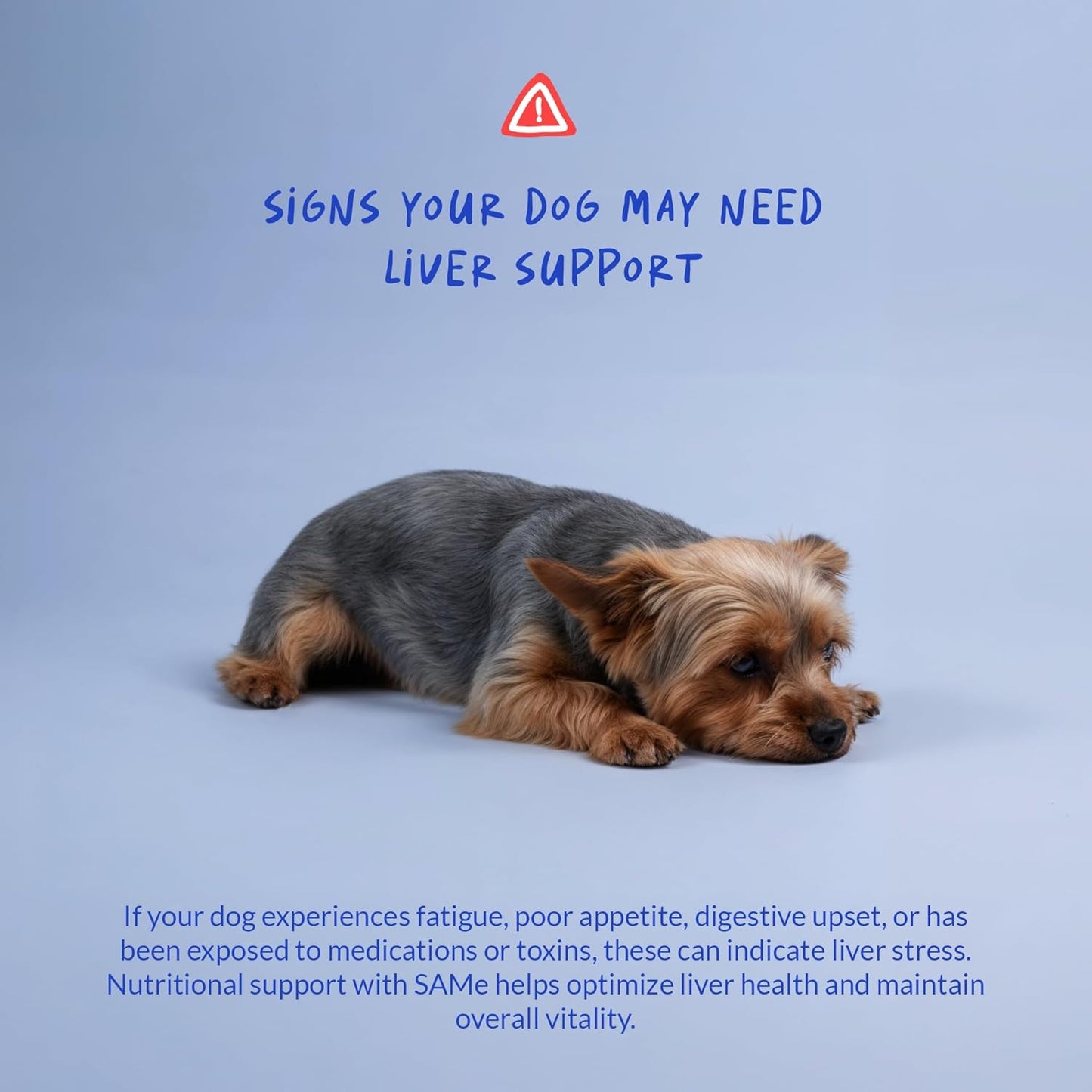 Same for Dogs 120 Tablets - Liver Supplement, Brain & Mood Support | S-Adenosyl-L-Methionine formula - görsel 4