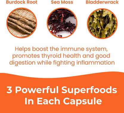 INFINITE AGE 1250mg Sea Moss Advanced Superfood Capsules - 60 Count