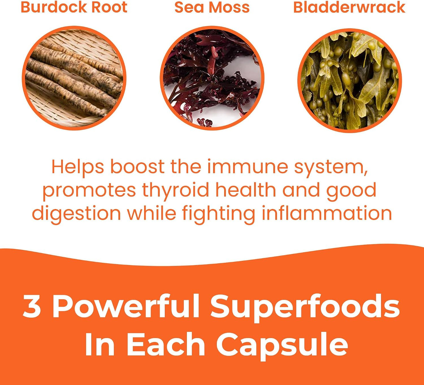 INFINITE AGE 3-Pack of 1250 mg Sea Moss Advanced Superfood Capsules, 180 Capsules - görsel 7
