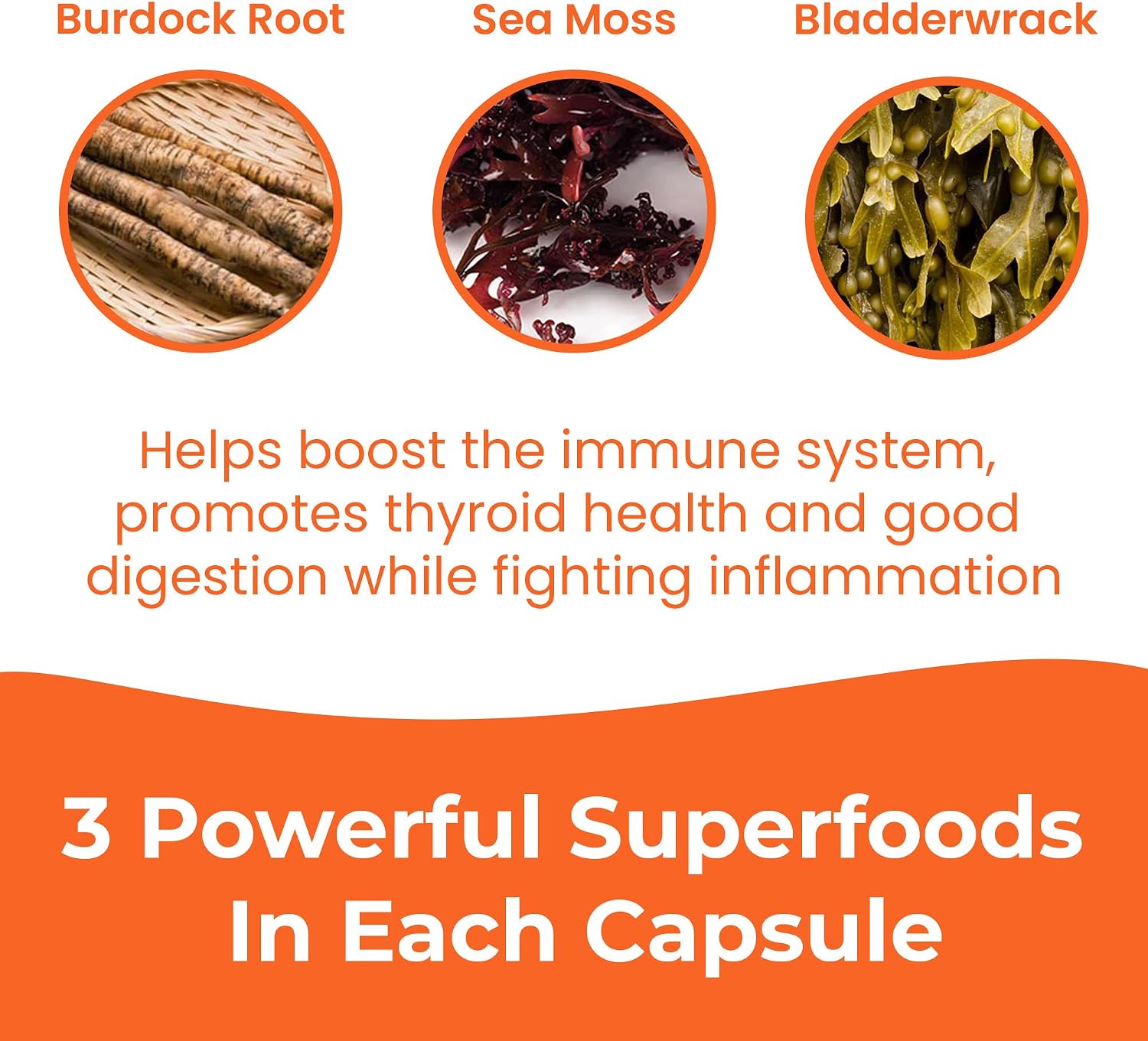 INFINITE AGE Sea Moss Advanced Superfood Capsules, 2-Pack, 120 Count - High-Strength, Vegan, Made in USA - görsel 7