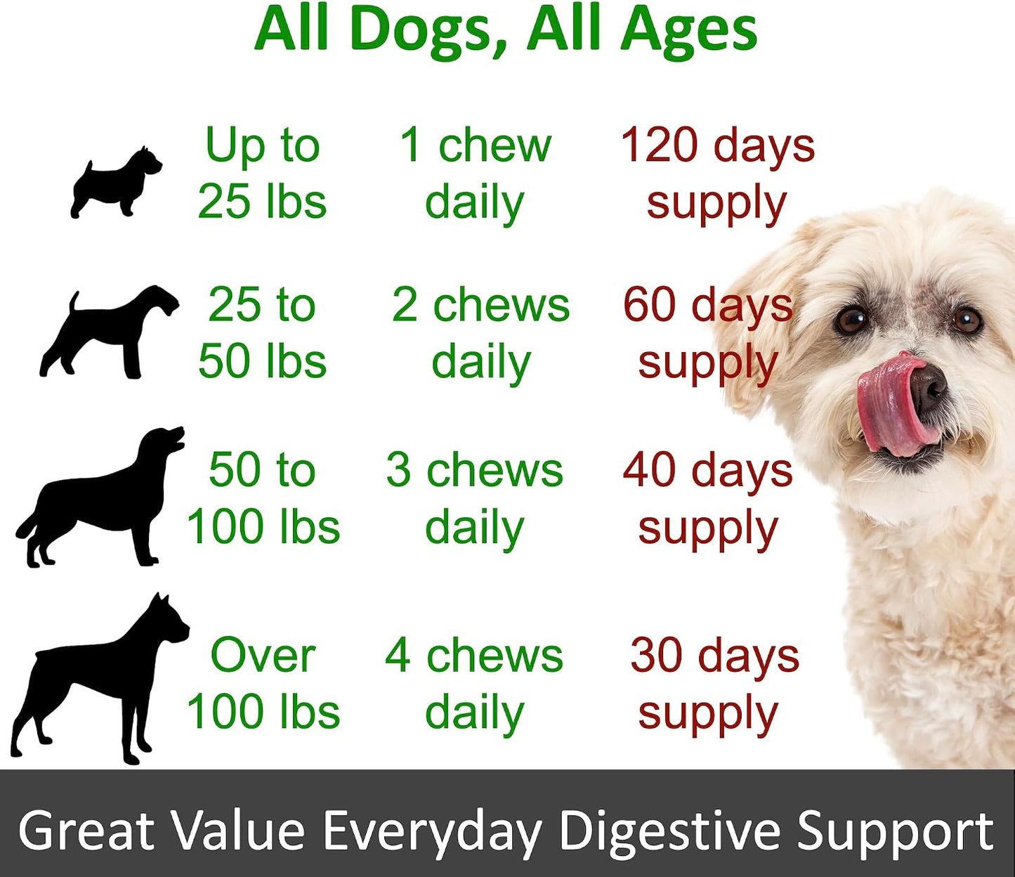 TummyWorks Probiotics for Dogs – 120 Soft Chews for Digestive Health & Immunity - görsel 5