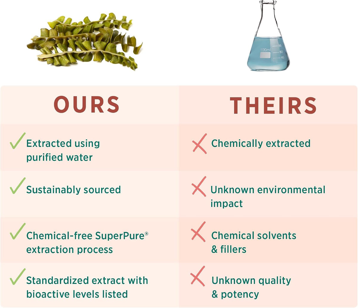PURE SYNERGY SuperPure Fucoidan Extract – Organic Brown Seaweed, 60 Capsules - görsel 4