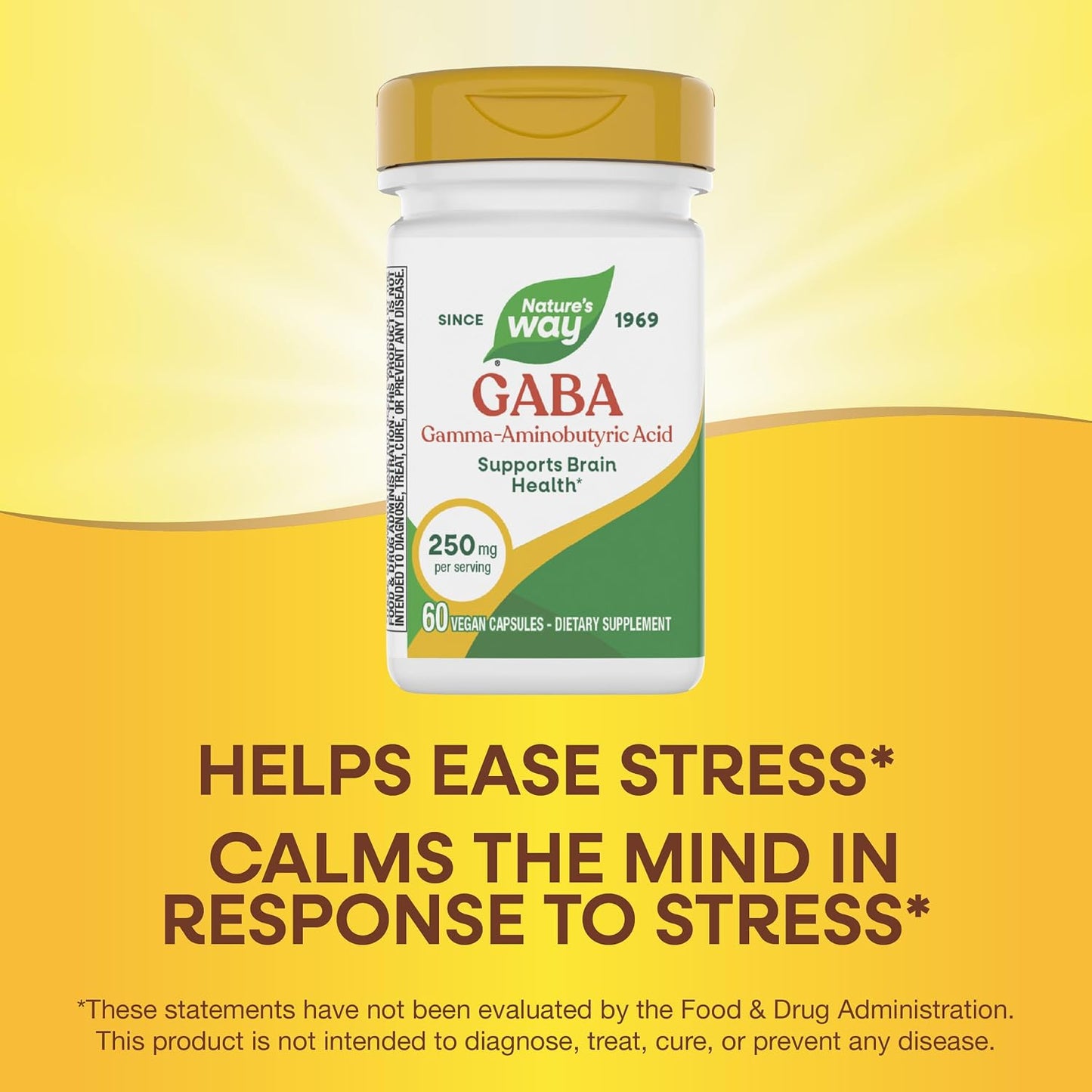 Nature's Way GABA, 250 mg, 60 Vegan Capsules - Brain Health Support - görsel 4