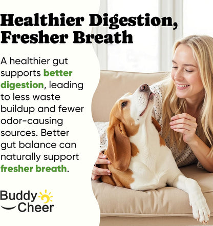 BuddyCheer Probiotics for Dogs - Supports Digestion, Skin and Breath - 180 Soft Chews