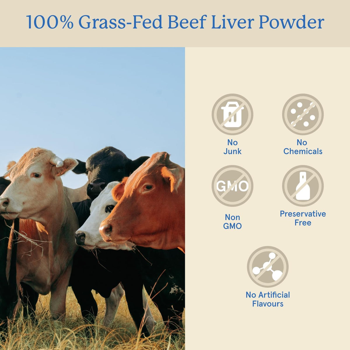 Equip Grass-Fed Beef Organs - Regenerative Freeze-Dried Liver, Kidney & Heart Capsules - görsel 3