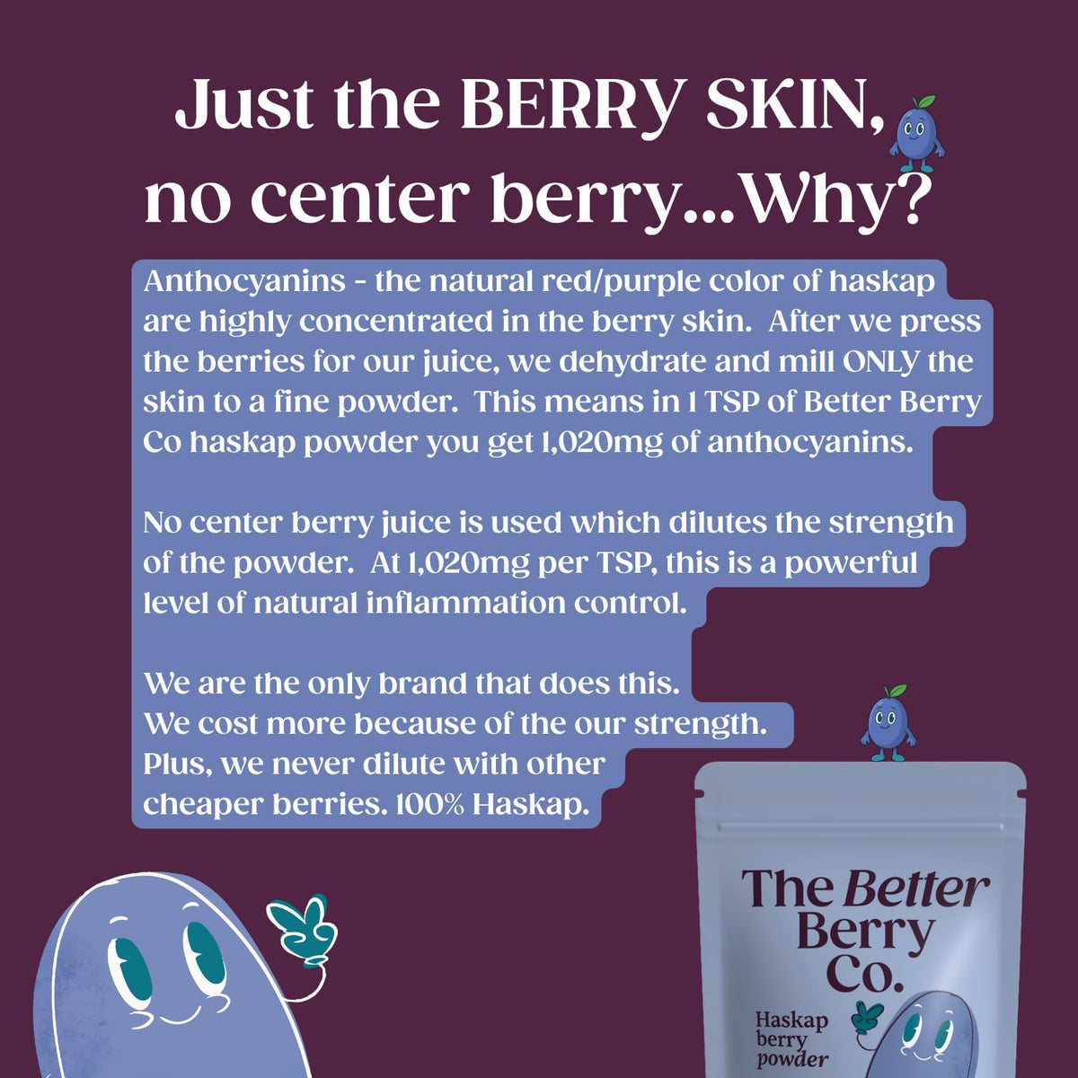 The Better Berry Co Haskap Berry Fruit Powder – Plant-Based Superfood, 30-Day Supply - görsel 3