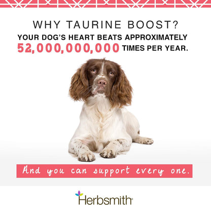 Herbsmith Taurine Boost - Cardiac & Heart Support for Dogs and Cats - 75g