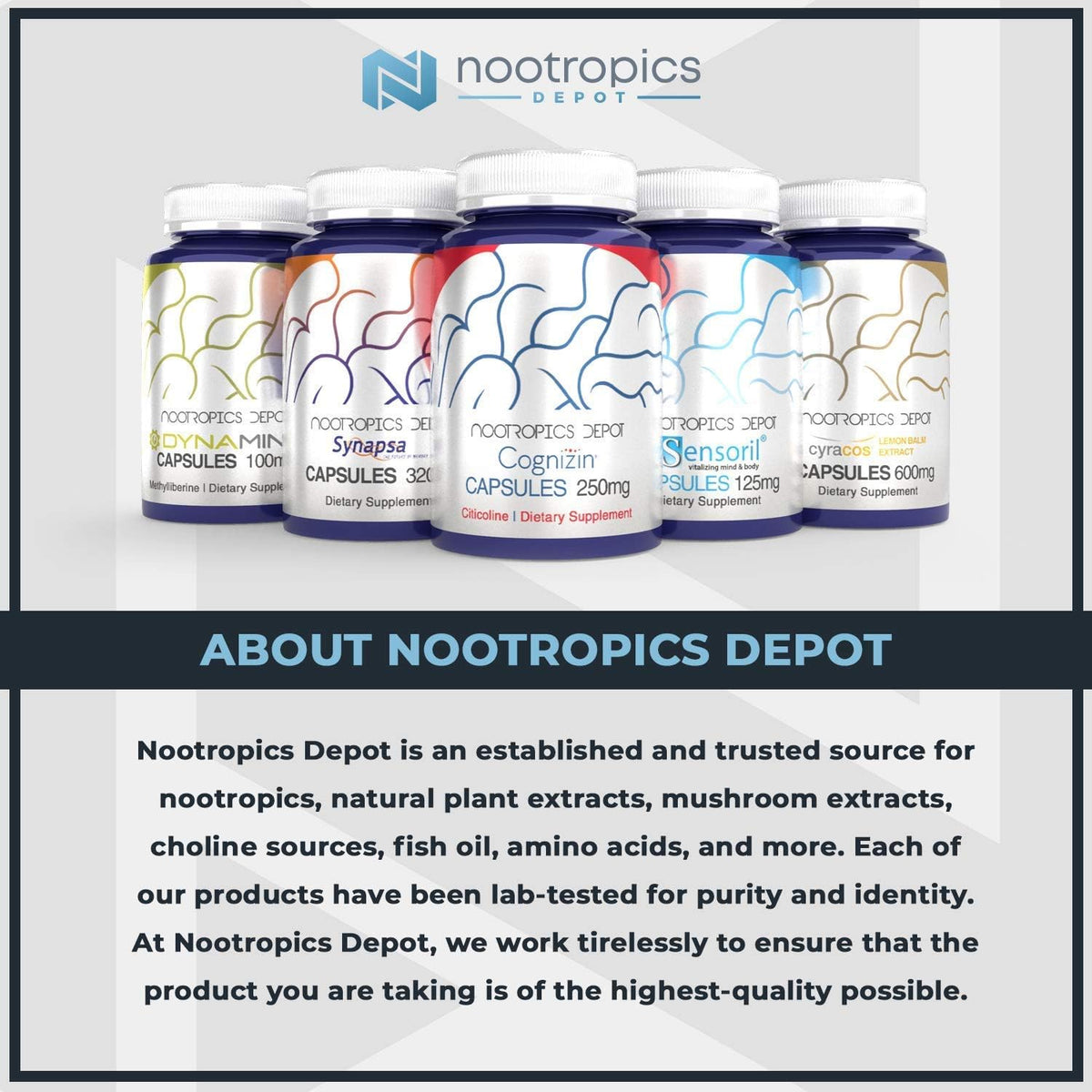 Apigenin Powder | 10 Grammes | 50 Servings | >98% Purity | Nootropics Depot - görsel 3