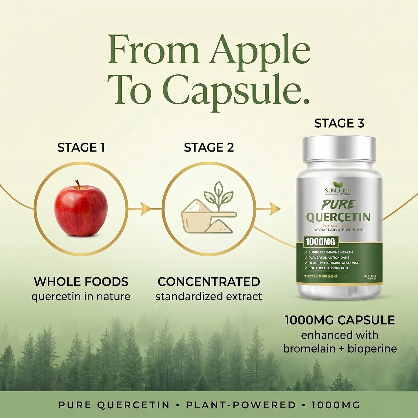 Pure Quercetin with Bromelain and Bioperine - Antioxidant Support, Extra Strong Formula with 1000mg, 1-Month Supply - görsel 6