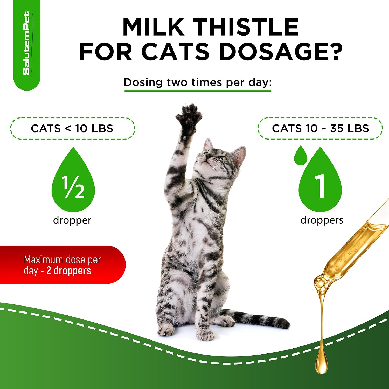 SalutemPet Cat Kidney Support - Milk Thistle Herbal Supplement for Cats, Chicken Flavour, 60 ml - görsel 5