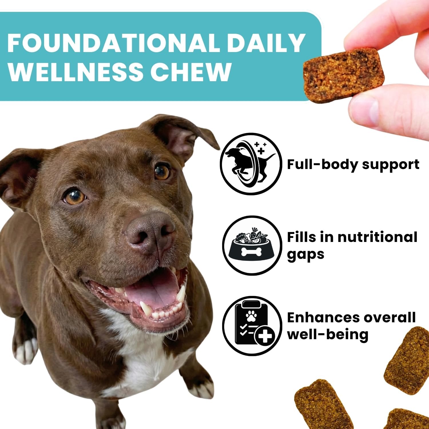 TRATEZ Multivitamin for Dogs - 25-in-1 Daily Soft Chews with Essential Vitamins & Minerals - Immune, Skin, Joint, Heart & Digestive Support - 60 Chews - görsel 2