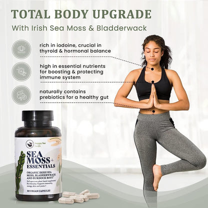 HAPPY FOX Irish Sea Moss Capsules with Burdock Root & Bladderwrack - Alternative to Seamoss Gummies or Powder, 90 Vegan Capsules, Made in the USA