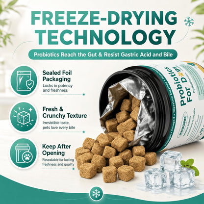 ZEBORA Probiotics for Dogs & Cats, 6 Billion – Medium dogs (11–23 kg): 2 chews per day – Image 2