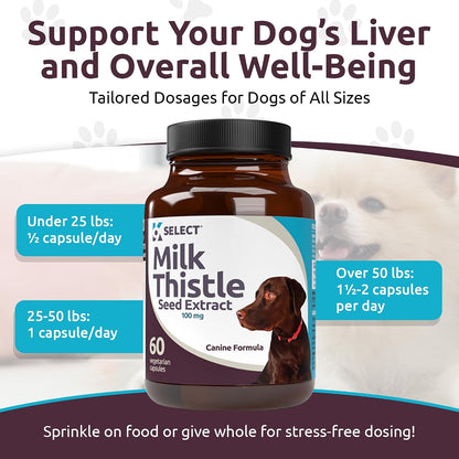 Milk Thistle for Dogs, 100mg – 60 Vegetable Capsules – Canine Liver Health Supplement