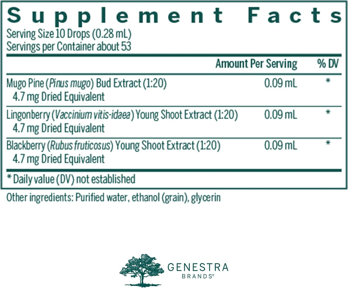 Genestra Brands Osteo-gen: Mugo Pine, Lingonberry, and BlackBerry Herbal Supplement (15 ml) - görsel 2