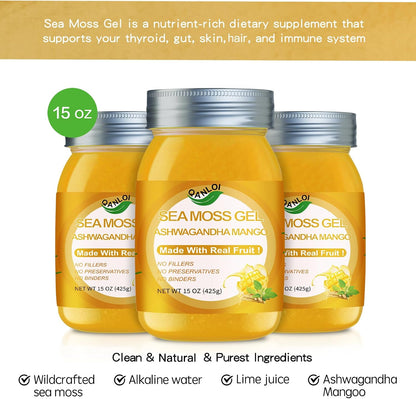 QANLOI Sea Moss Gel with Ashwagandha – Immunity Support – 425g