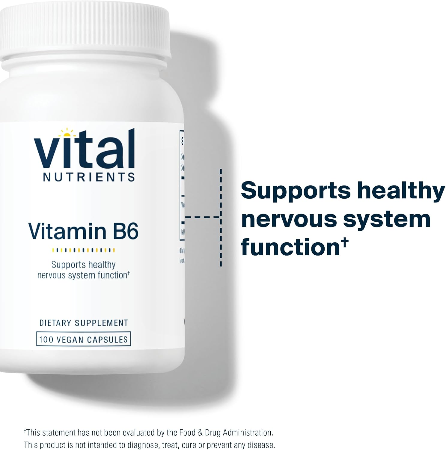 Vital Nutrients Vitamin B6 – 100 mg Pyridoxine HCl, 100 Capsules - görsel 6