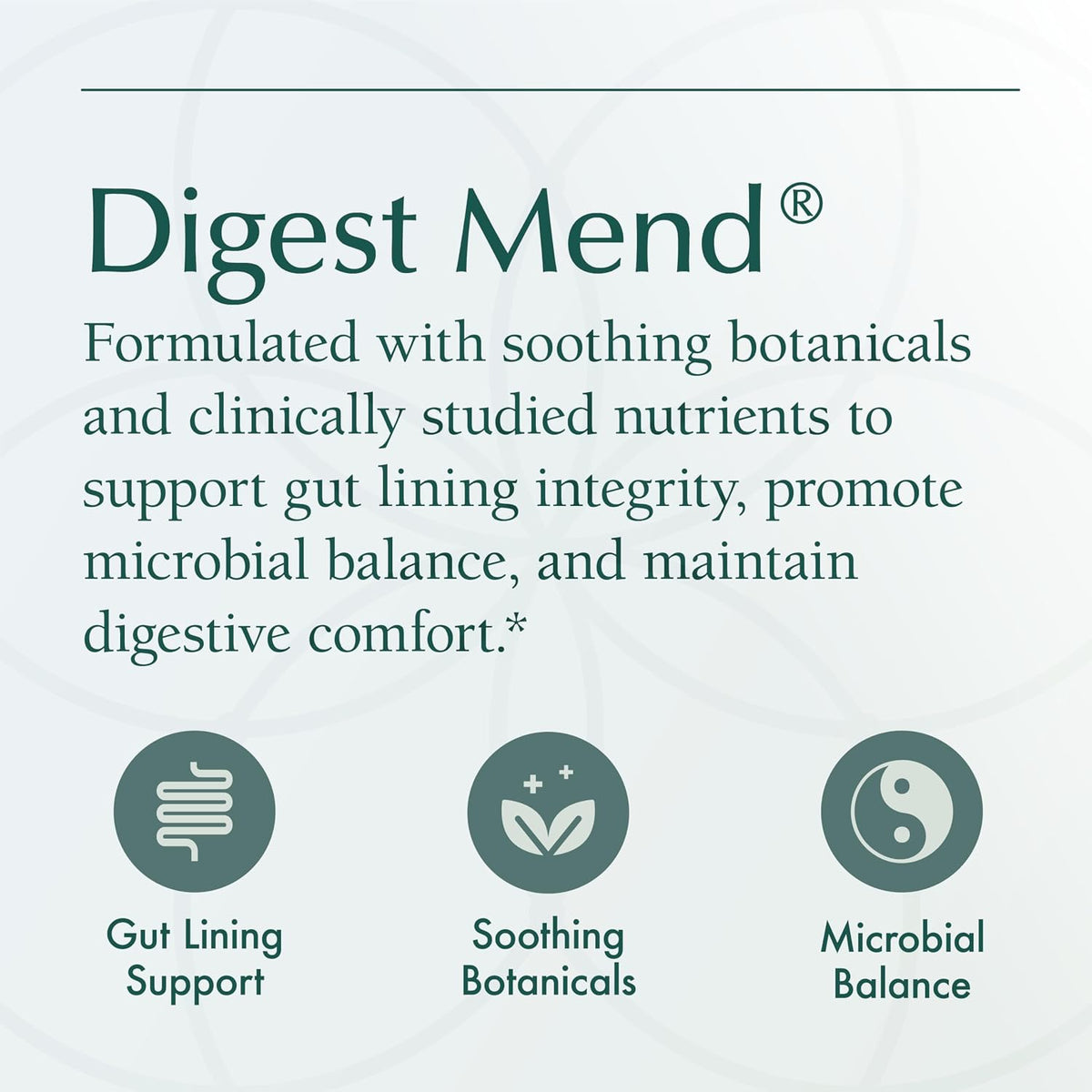 Natura Health Products Digest Mend - Gut Health Supplement with DGL, Aloe Vera, and Herbs (180 Capsules) - görsel 6
