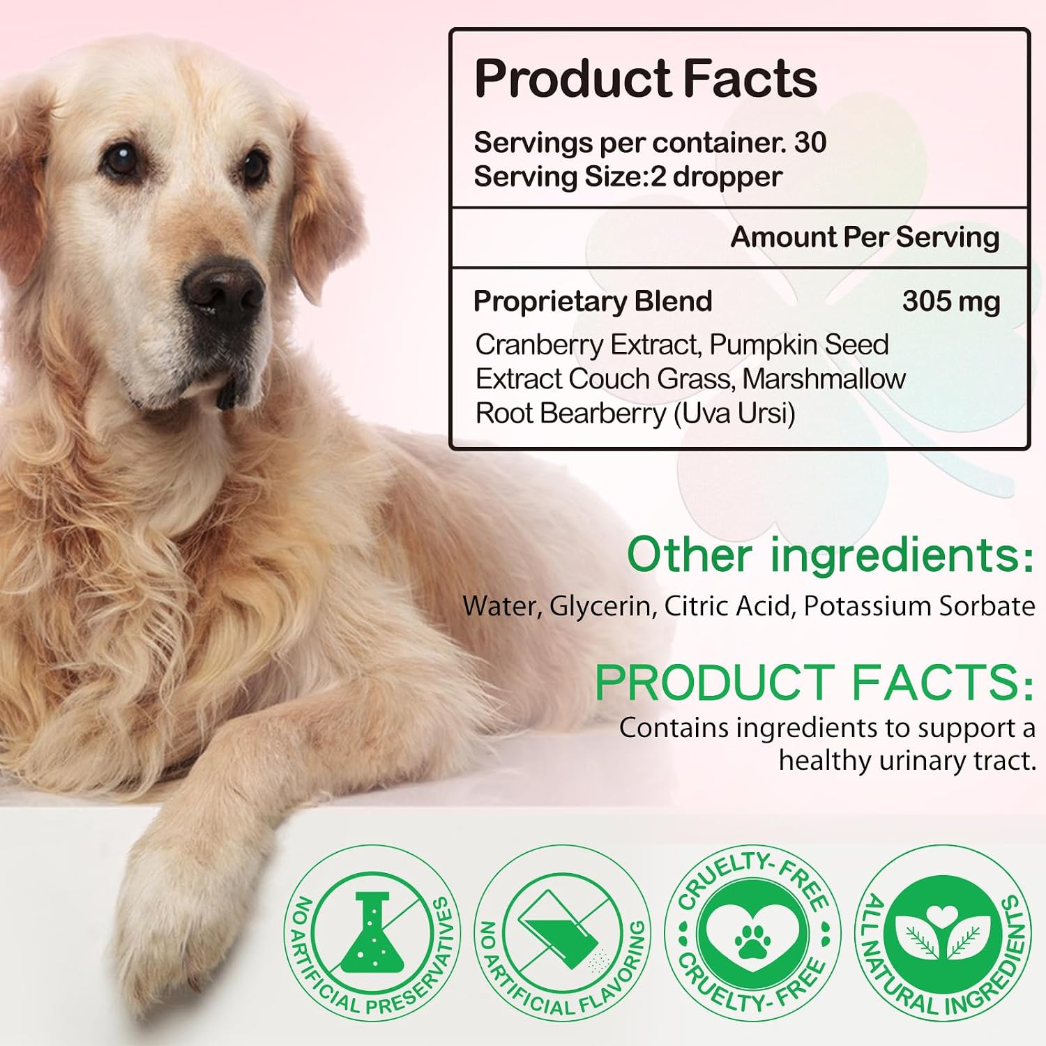 Urinary Tract Support Drops for Dogs – Herbal Formula with Cranberry and Pumpkin Seed, Bacon Flavour (60 ml) - görsel 5