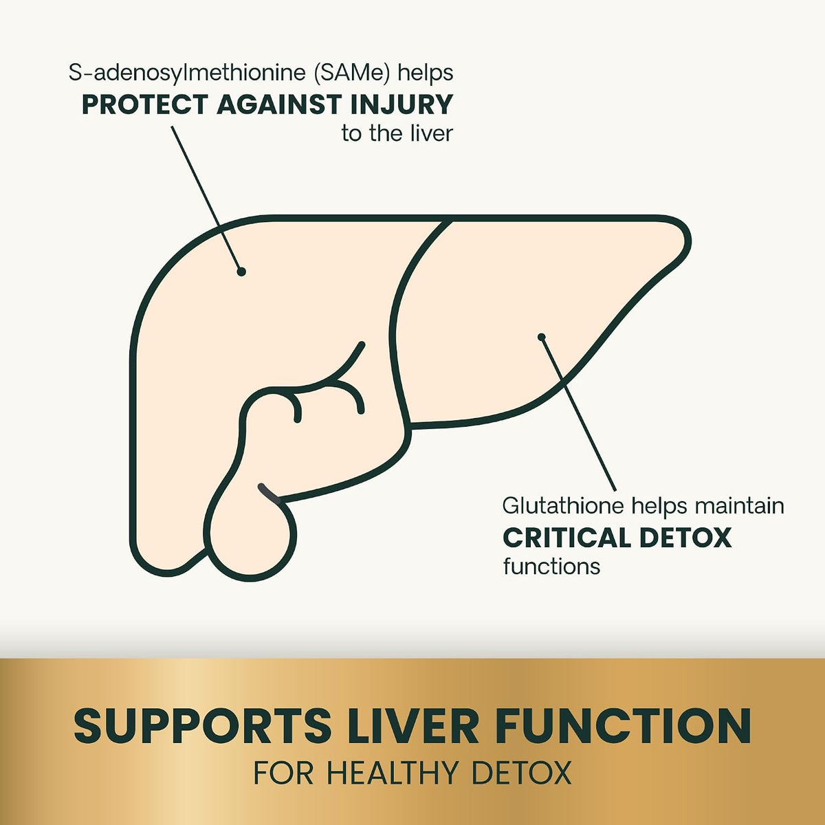 VetriScience SAMe Liver Health Tablets for Cats & Small Dogs, 90 mg – 30 Tablets - görsel 6