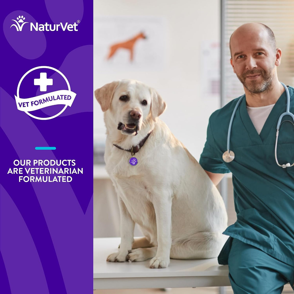NaturVet Evolutions All-in-One + Superfoods Soft Chews for Dogs (180 Count) - görsel 6