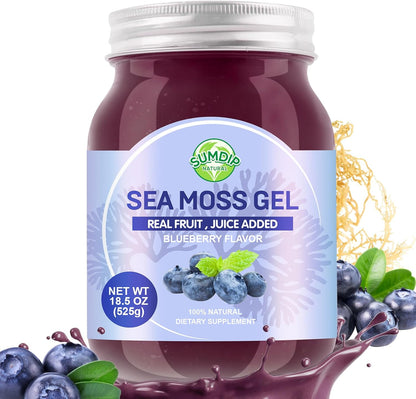 SumDIP Sea Moss Gel, Blueberry, 525g - Raw Irish Seamoss for Immune & Digestive Support