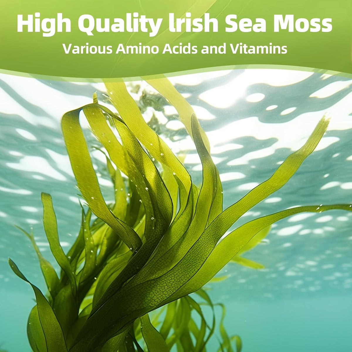HEALOADING Sea Moss Capsules: Wildcrafted Organic Irish Sea Moss & Bladderwrack - görsel 5