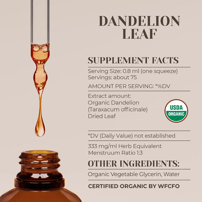 Garden Organics Dandelion Leaf Organic Alcohol-Free Extract - High-Potency Tincture, Supports Digestive System, 60 ml