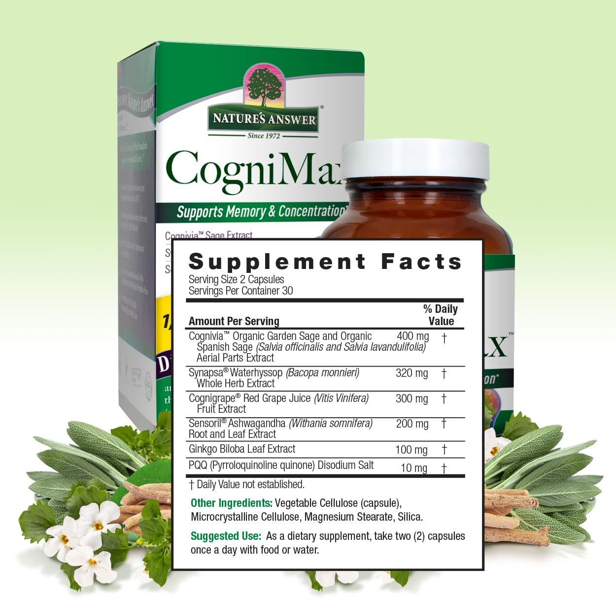 Nature's Answer CogniMax 1330 mg Food Supplement Blend, 60 Capsules - görsel 3
