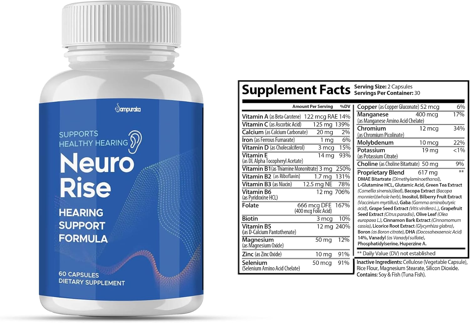 Neuro Rise Advance New Formula - 3 Pack 90 Days - görsel 2