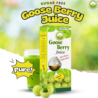 Basic Ayurveda Amla (Gooseberry) Juice | 480ml | Natural Vitamin C for Immune Function, Skin Radiance & Hair Health | Ayurvedic Daily Wellness Tonic | No Added Sugar