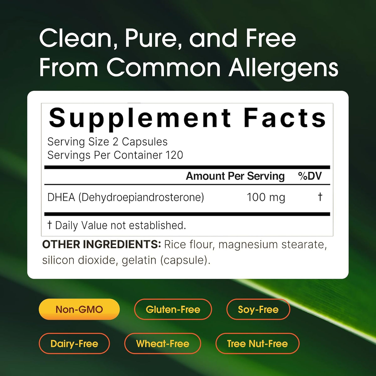 NatureBell DHEA 100mg - 240 Capsules - görsel 3