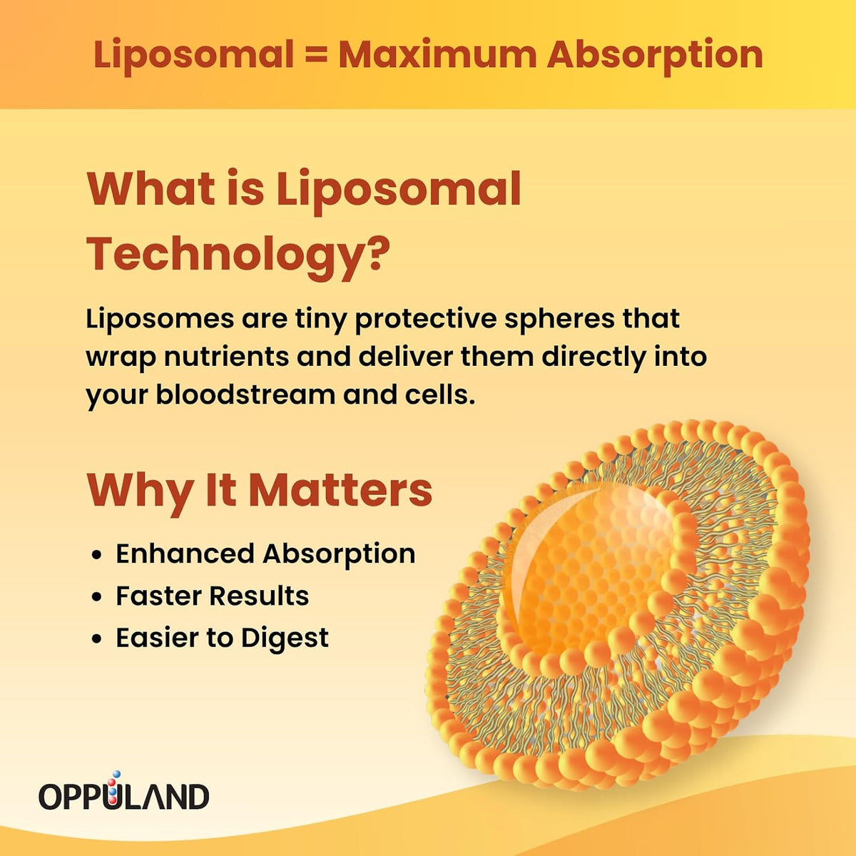 Oppuland Vitamin D3 + K2 5000 IU with Liposomal Technology - MK-7 100µg - 90 Softgels - görsel 3