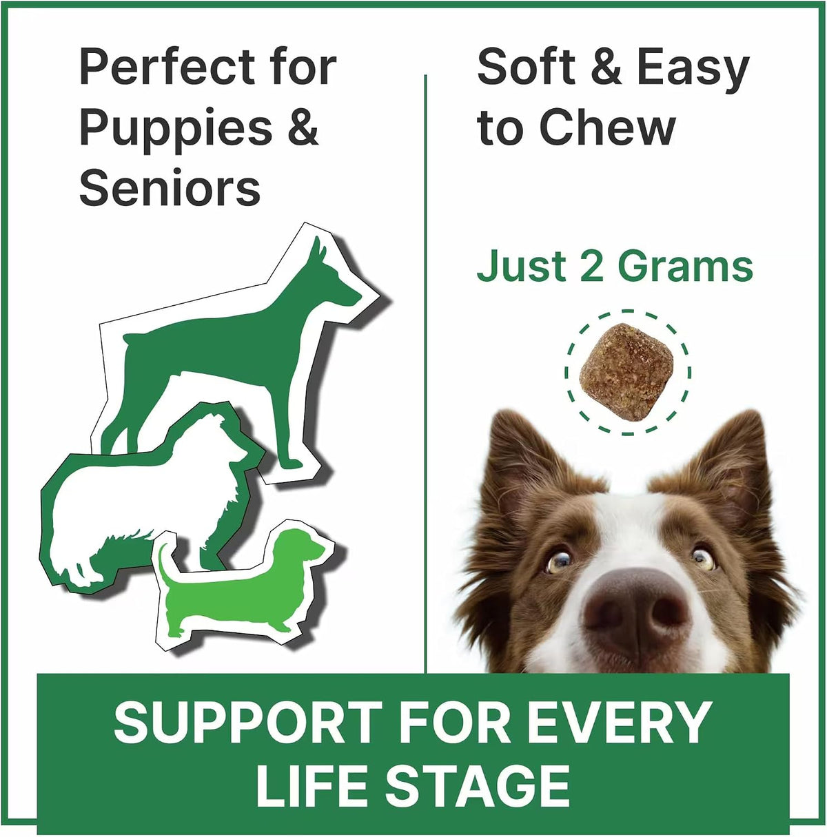 Vitamins for Dogs - 4 in 1 Complex with Omega, Glucosamine, Probiotics and Vitamins - 100 ct - Fish - görsel 6