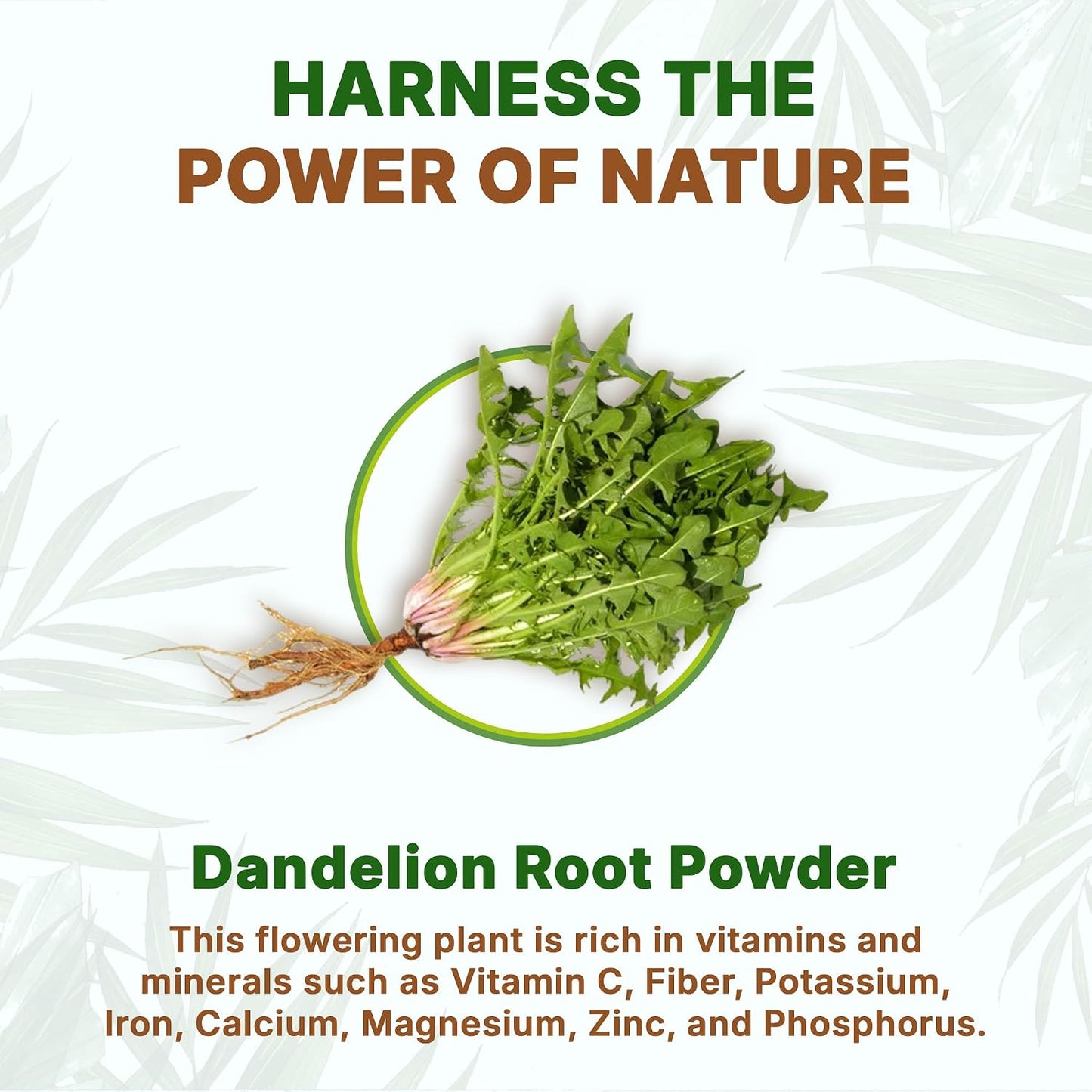 Go Nutra Dandelion Root Powder - Concentrated 10:1 Extract, Caffeine Free, Non-GMO, Vegan (454g) - görsel 4