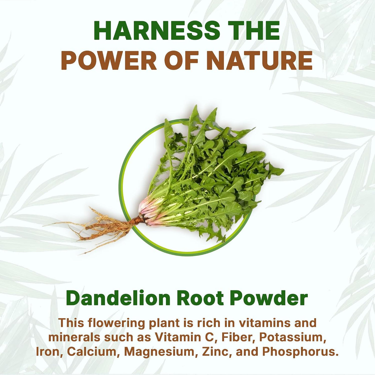 Go Nutra Dandelion Root Powder - Concentrated 10:1 Extract, Caffeine Free, Non-GMO, Vegan (454g) - görsel 4