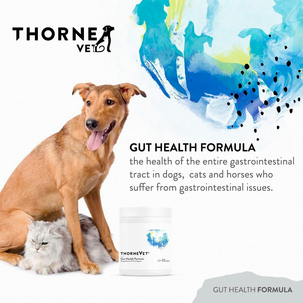 ThorneVET Gut Health Formula – – L-Glutamine: This amino acid is a primary fuel source for intestinal cells, – Image 2