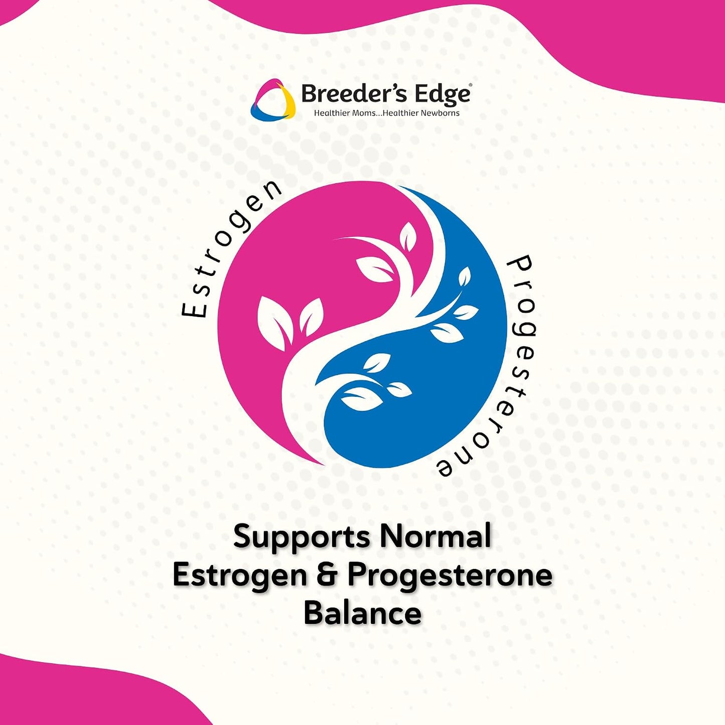 Breeder’s Edge Problem Female - Hormonal Support Supplement for Female Dogs and Cats - görsel 5