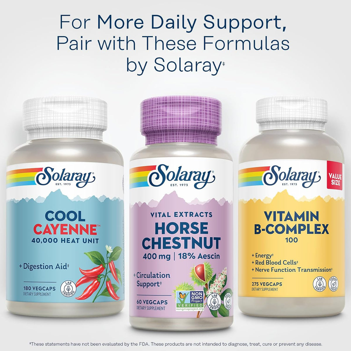 Solaray Horse Chestnut Extract 400 mg with Butcher's Broom – Standardised Aescin for Vein Support - görsel 6