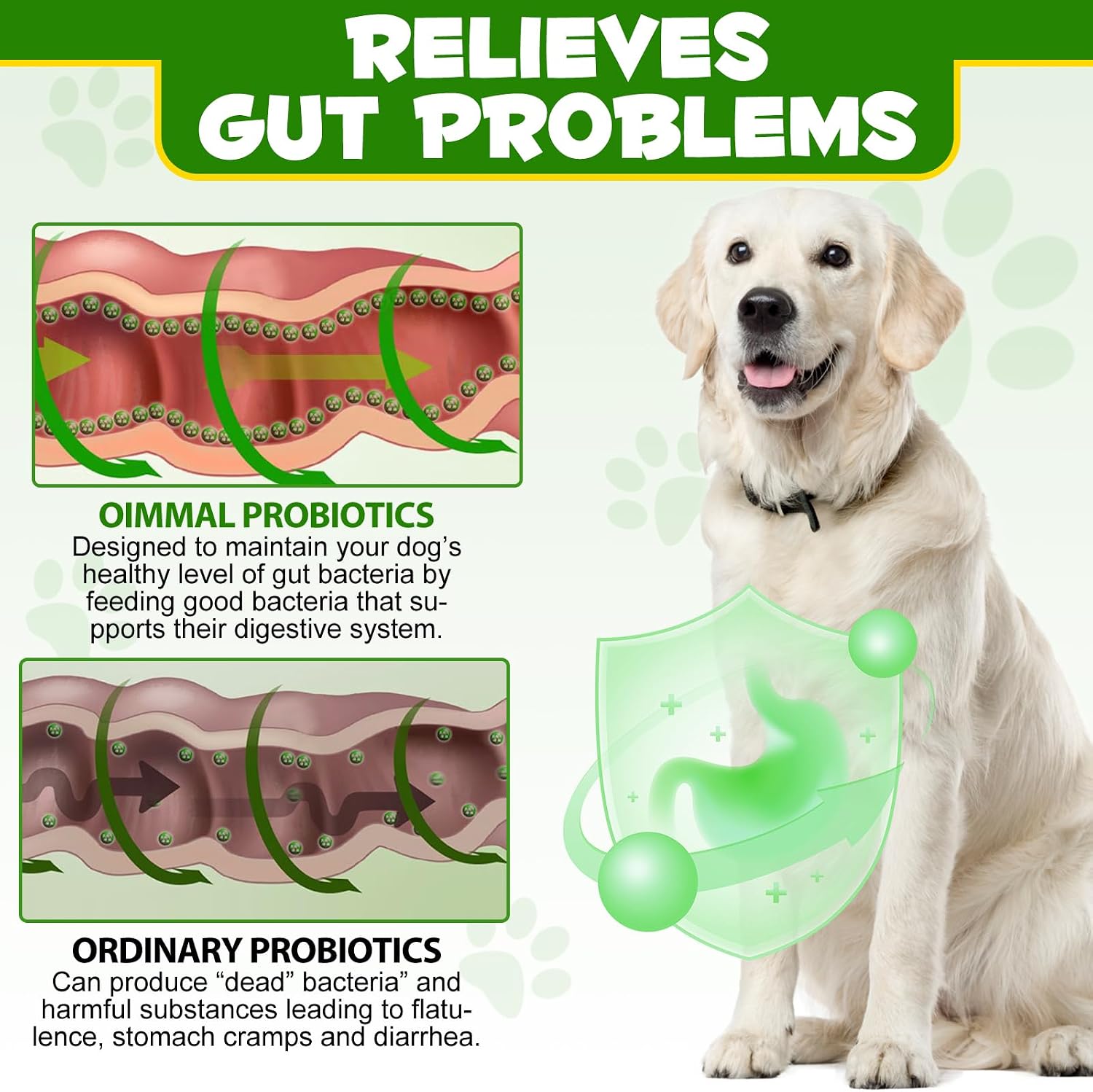 ALIVO Probiotics Powder for Dogs - Pre & Probiotic Digestive Supplement - görsel 8