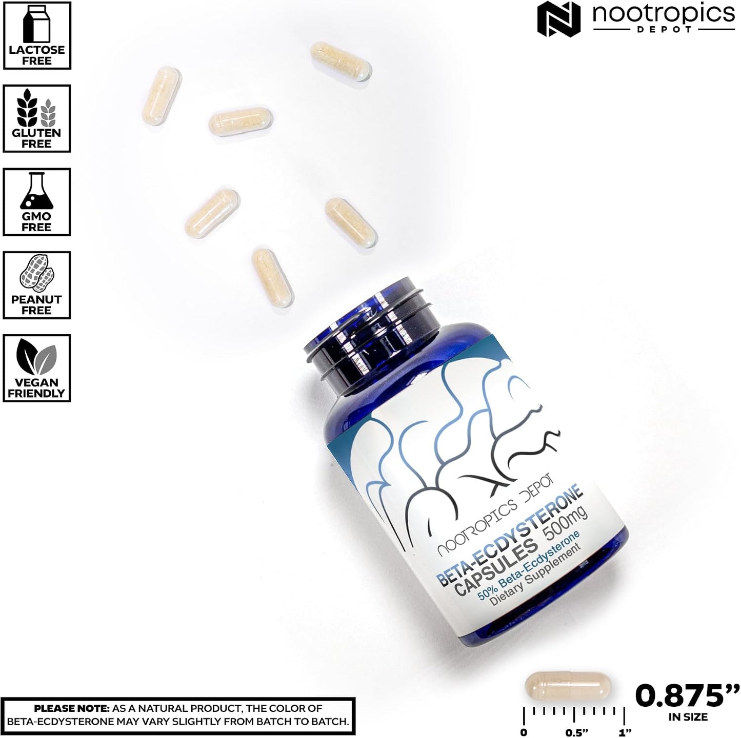 Nootropics Depot Beta Ecdysterone 50% Capsules (500mg, 30 Count) - görsel 6
