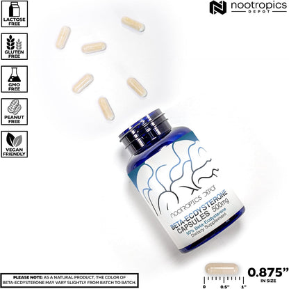 Nootropics Depot Beta Ecdysterone 50% Capsules (500mg, 30 Count)