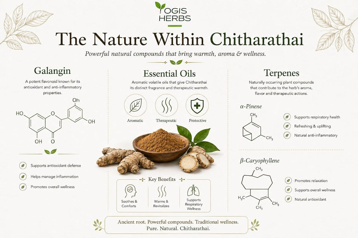 YOGIS HERBS Chitharathai Powder, Alpinia Officinarum (Lesser Galangal/Kulanjan) — 100% Pure - görsel 6