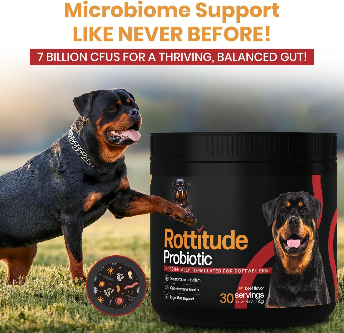 Probiotics for Dogs – Natural Dog Probiotics for Digestive Health, Gut Health, Yeast, Itchy Skin & Itchy Ears – Probiotic for Dogs – Dog Probiotic Supplement for Rottweilers - görsel 6