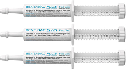 PetAg Bene-Bac Plus Pet Gel - 15g Syringe, Pack of 6 - FOS and Probiotics for Dogs, Cats, Exotic and Wildlife Mammals