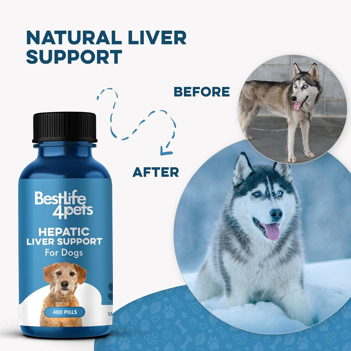 BestLife4Pets Dog Liver Supplement – Milk Thistle for Dogs – 400 Mini Tablets - görsel 4