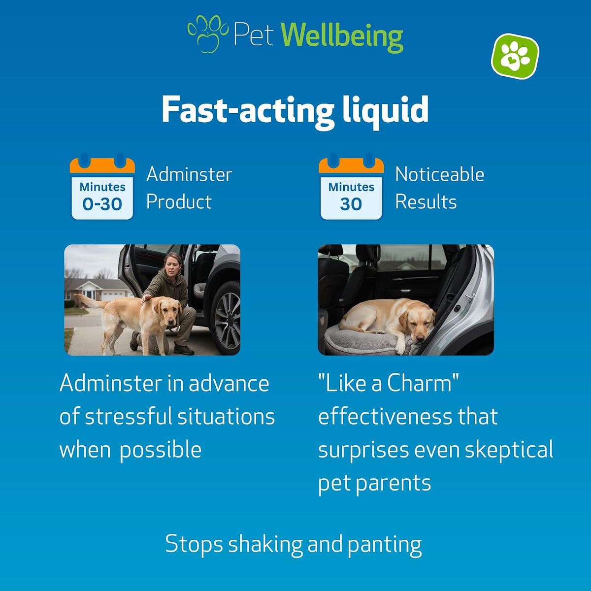 Pet Wellbeing Stress Gold for Dogs - Fast-Acting Situational Stress Relief - 2 fl oz (59 ml) Liquid Formula - görsel 4