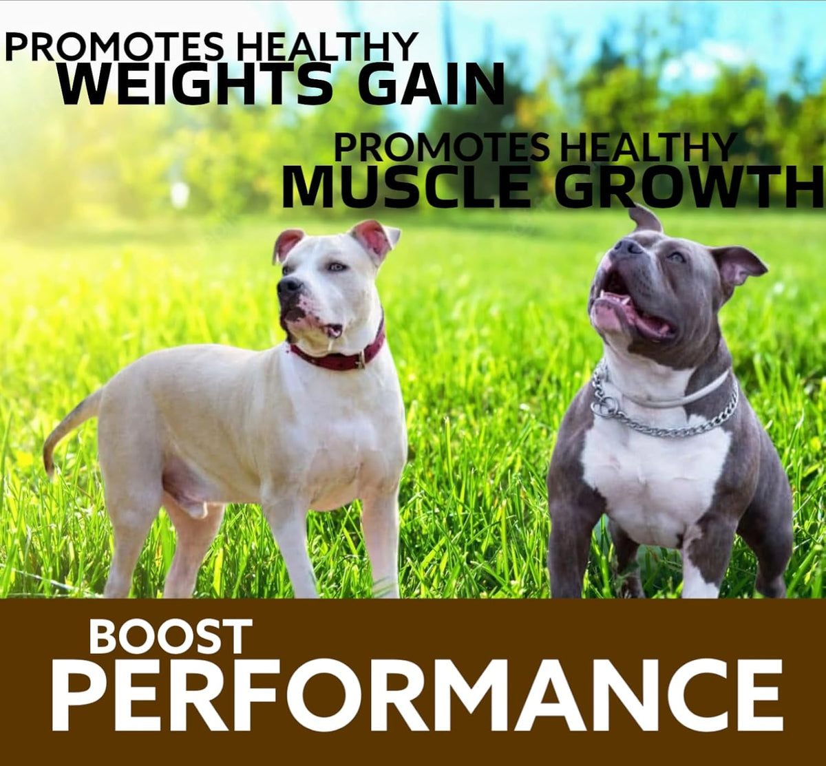 Predator Muscle Builder Chewable Tablets for Dogs – 60 Tablets - görsel 3