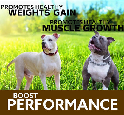 Predator Muscle Builder Chewable Tablets for Dogs – 60 Tablets