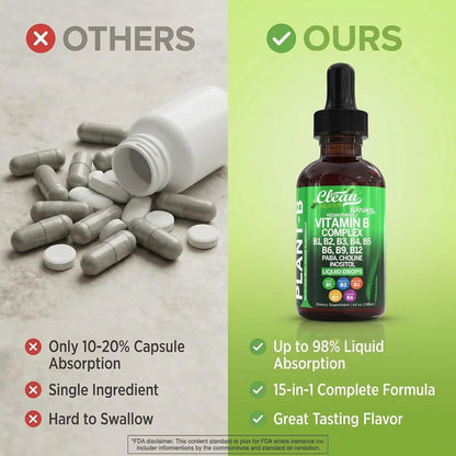 Vitamin B Complex Liquid Drops - Plant B Vitamin Supplement with Methylated B12, Choline and Probiotics